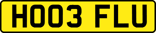 HO03FLU