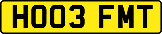 HO03FMT