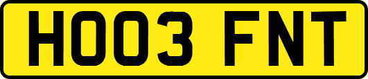 HO03FNT