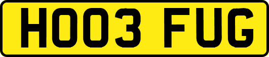 HO03FUG