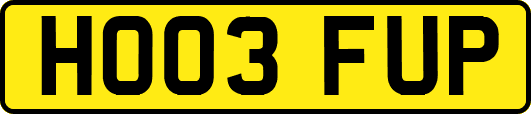 HO03FUP