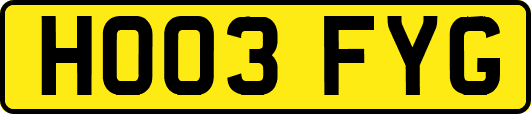 HO03FYG