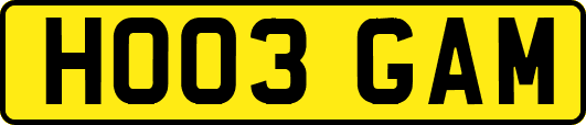 HO03GAM