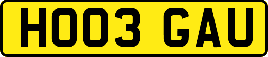 HO03GAU