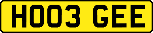 HO03GEE