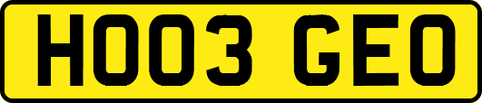 HO03GEO