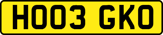 HO03GKO
