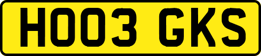 HO03GKS