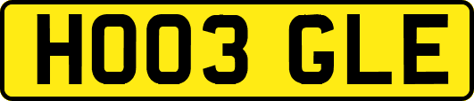 HO03GLE
