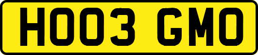 HO03GMO