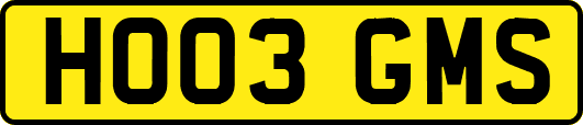 HO03GMS
