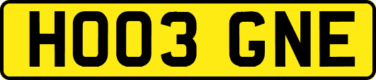 HO03GNE