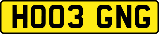 HO03GNG