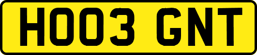 HO03GNT