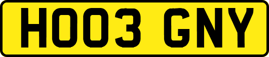 HO03GNY