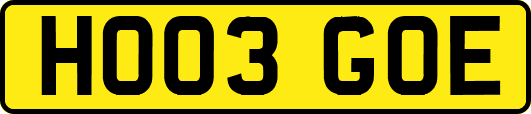 HO03GOE