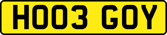 HO03GOY
