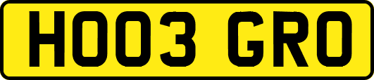 HO03GRO