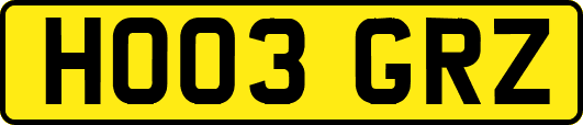 HO03GRZ