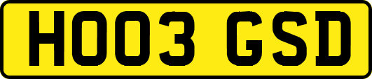 HO03GSD