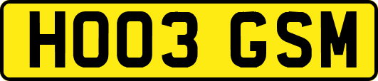 HO03GSM