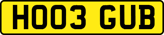 HO03GUB