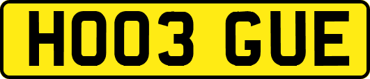 HO03GUE