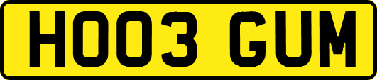 HO03GUM