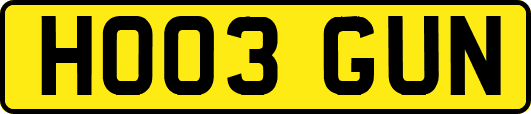 HO03GUN