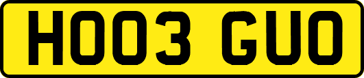 HO03GUO