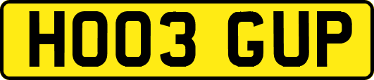 HO03GUP