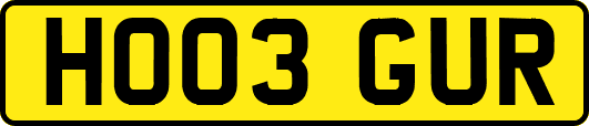 HO03GUR