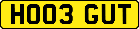 HO03GUT