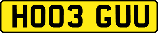 HO03GUU