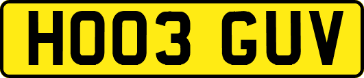 HO03GUV