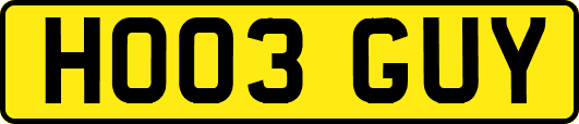 HO03GUY