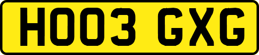 HO03GXG
