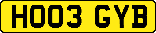 HO03GYB