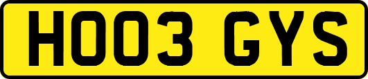 HO03GYS