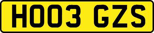HO03GZS