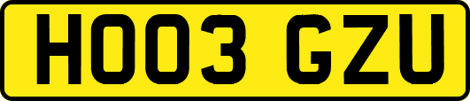 HO03GZU