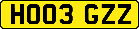 HO03GZZ