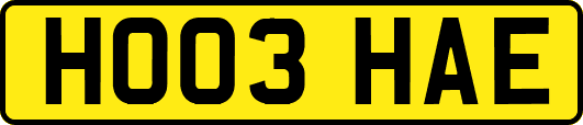 HO03HAE