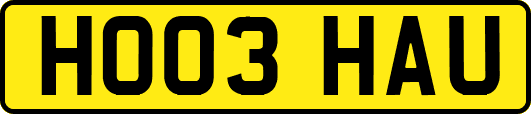 HO03HAU