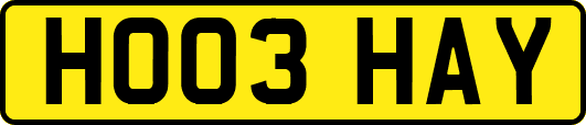 HO03HAY