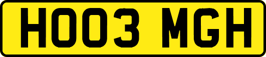 HO03MGH