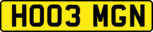 HO03MGN