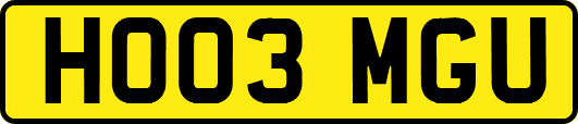 HO03MGU