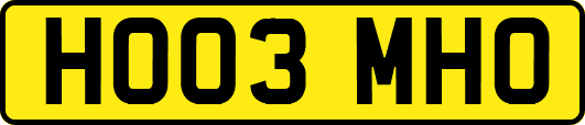 HO03MHO