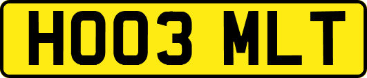 HO03MLT